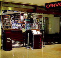 Cervo - Restaurants Sydney