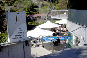 Fenix - Restaurants Sydney 0