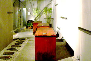 Koi - Restaurants Sydney 0