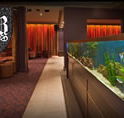 AB Hotel - Restaurants Sydney