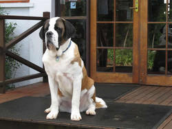 Mt Tamborine QLD Restaurants Sydney