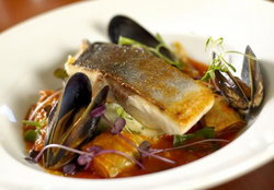 Hotel Max - Restaurants Sydney 1