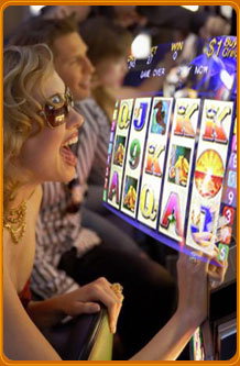 Alderley Arms Hotel - Restaurants Sydney 2