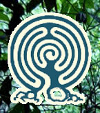 Forest Cafe & Bar - Restaurants Sydney 2