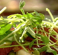 Wild Hearts Cafe Restaurant - Restaurants Sydney