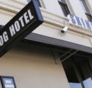 Skinny Dog Hotel - Restaurants Sydney