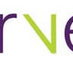 Curve Cafe  Bar - Restaurants Sydney