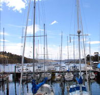 Oyster Cove Inn - Restaurants Sydney