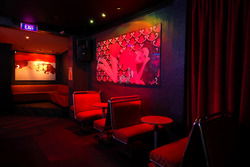 Geisha Bar - Restaurants Sydney 2