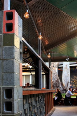 The Garden  - Restaurants Sydney 2