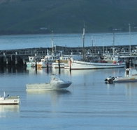 The Apollo Bay Hotel - Restaurants Sydney