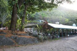 Ellis Beach QLD Restaurants Sydney