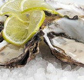Platform Restaurant and Bar - Restaurants Sydney