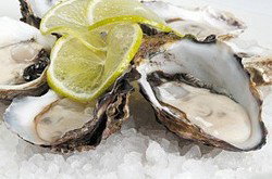 Platform Restaurant And Bar - Restaurants Sydney 0