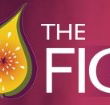 Pickled Fig - Restaurants Sydney