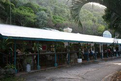 Ellis Beach Bar & Grill - Restaurants Sydney 1