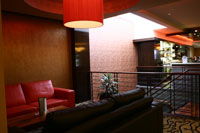 Camperdown Hotel - Restaurants Sydney 2