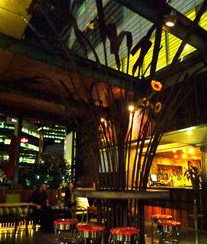 Treehouse Hotel - Restaurants Sydney 2