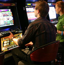 Trinity Beach Tavern - Restaurants Sydney 3