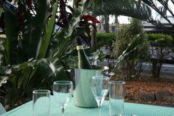 Ellis Beach Bar & Grill - Restaurants Sydney 3