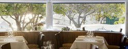 Newport Arms - Restaurants Sydney 3