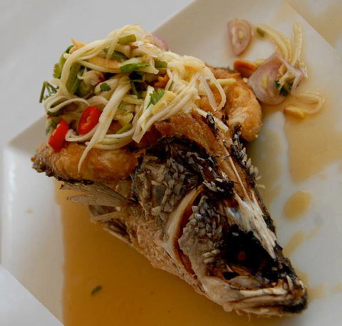 Bermagui Country Club - Restaurants Sydney 7