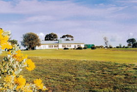 Greenways SA Restaurants Sydney