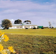 Lucindale Country Club - Restaurants Sydney