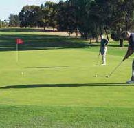Waikerie Golf Club - Restaurants Sydney