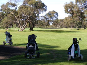 Minlaton Golf Club - Restaurants Sydney 3