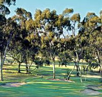 Tanunda Pines Golf Club - Restaurants Sydney