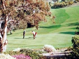 Victor Harbor Golf Club - Restaurants Sydney 1