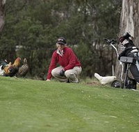 Tasmania Golf Club - The - Restaurants Sydney
