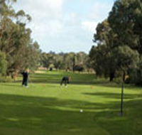 Mount Gambier Golf Club - Restaurants Sydney