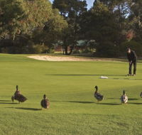 Royal Hobart Golf Club - Restaurants Sydney