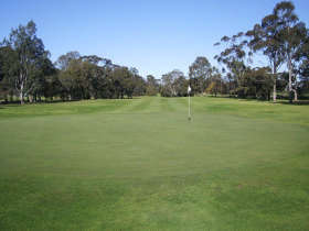 Maffra Golf Club - Restaurants Sydney 0