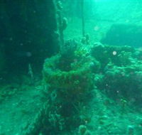 Wallaroo Scuba Club - Restaurants Sydney