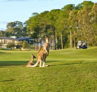 Sanctuary Cove Golf and Country Club - Restaurants Sydney