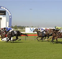 Kembla Grange Racecourse - Illawarra Turf Club - Restaurants Sydney