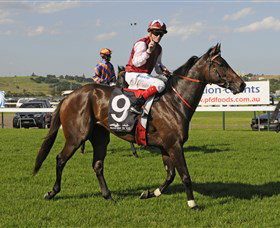 Kembla Grange Racecourse - Illawarra Turf Club - Restaurants Sydney 2