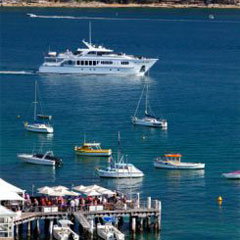 Manly Skiff Sailing Club - Restaurants Sydney 0