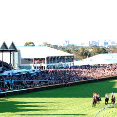 Morphettville SA Restaurants Sydney