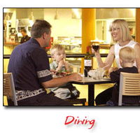 Steelers Club - Restaurants Sydney