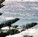 Bondi Social - Restaurants Sydney