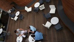 Blues Point Hotel - Restaurants Sydney 2