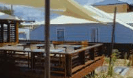 Seagrass Brasserie - Restaurants Sydney