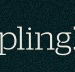 Dumpling Republic - Restaurants Sydney