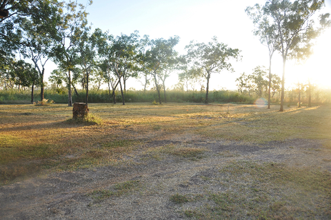 The Bark Hut Inn - Restaurants Sydney 2