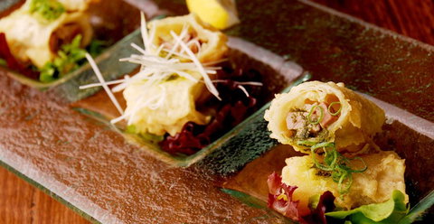 HaNa Ju-Rin Japanese Restaurant - Restaurants Sydney 0