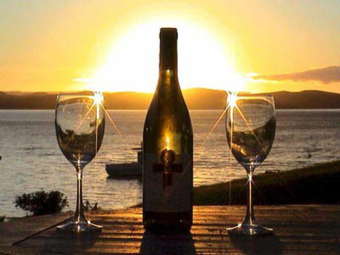 Vintage Cellars - Restaurants Sydney 1